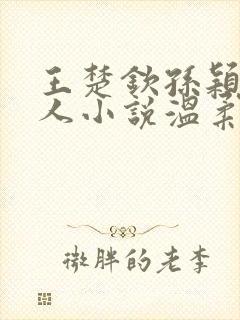 王楚钦孙颖莎同人小说温柔