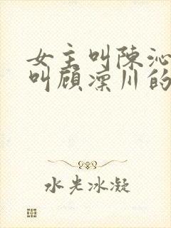 女主叫陈沁男主叫顾凛川的小说