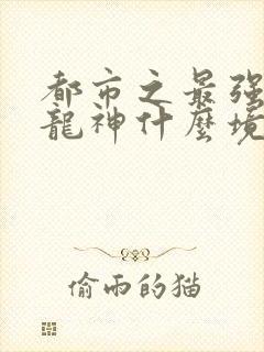 都市之最强狂兵龙神什么境界