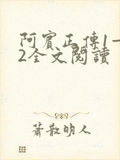 阿宾正传1—72全文阅读