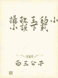 摄政王的小闲妻小说下载