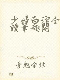 少妇白洁全文阅读笔趣阁封面