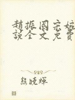 赵振国宋婉清小说全文免费阅读