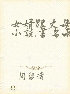 女婿跟丈母娘的小说,书名两个字叫什么