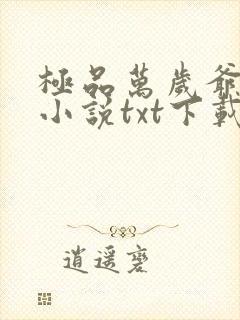 极品万岁爷妖刀小说txt下载