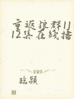 重返狼群11和12集在线播放封面