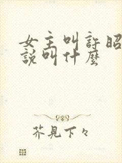 女主叫许昭的小说叫什么