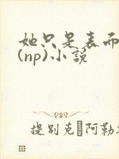 她只是表面清纯(np)小说