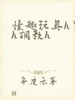 情趣玩具h男男h调教h