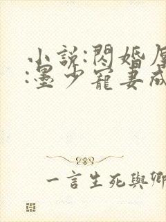 小说:闪婚厚爱:墨少宠妻成瘾封面