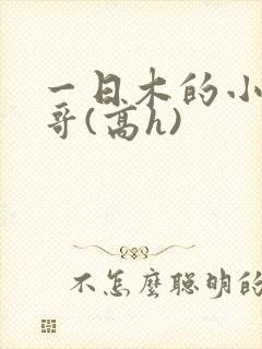 一日木的小说哥哥(高h)