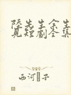 陆先生余生不再见短剧全集免费观看