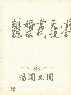 离婚当天,前夫跪求我复合全集