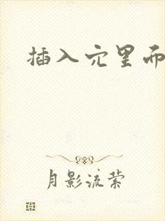 插入穴里面小说封面