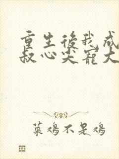 重生后我成了皇叔心尖宠大结局封面