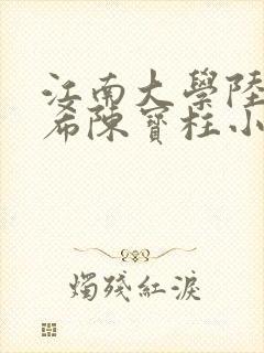 江南大学陆黄若希陈宝柱小说