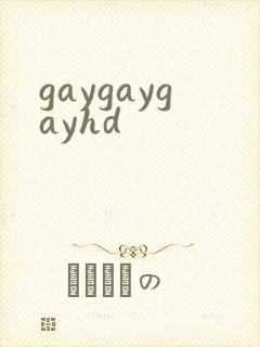 gaygaygayhd封面