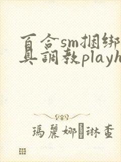 百合sm捆绑道具调教playh封面