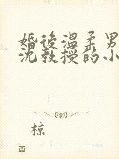 婚后温柔男主叫沈教授的小说封面