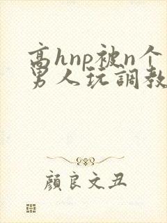 高hnp被n个男人玩调教