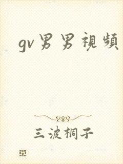 gv男男视频