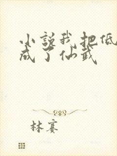 小说我把低武练成了仙武