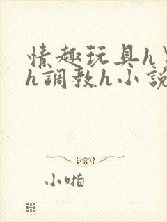 情趣玩具h男男h调教h小说封面