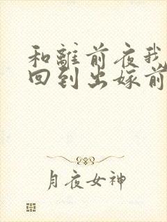 和离前夜我重生回到出嫁前