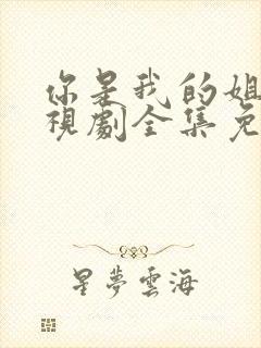 你是我的姐妹电视剧全集免费观看封面