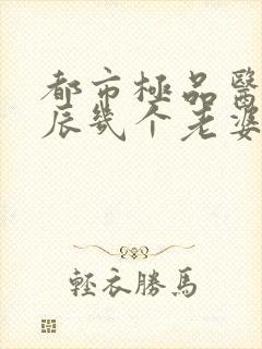 都市极品医神叶辰几个老婆