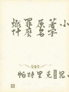 燃罪原著小说叫什么名字