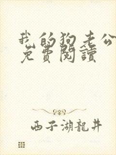 我的狗老公全文免费阅读封面