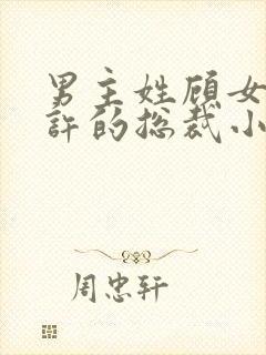 男主姓顾女主姓许的总裁小说封面