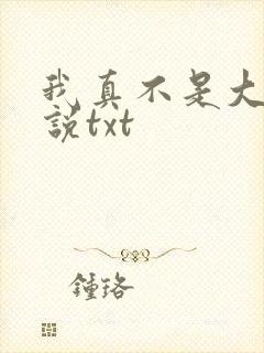 我真不是大佬小说txt