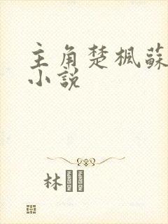 主角楚枫苏柔的小说