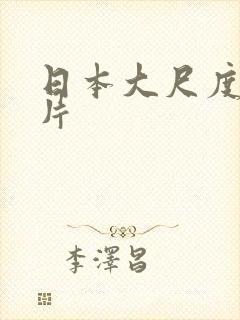 日本大尺度激情片封面