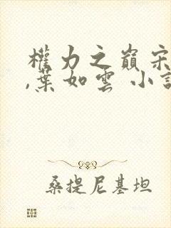 权力之巅宋思铭,叶如云 小说封面