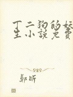 丁二狗的妖孽人生小说免费阅读