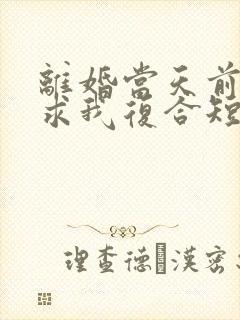 离婚当天前夫跪求我复合短剧封面