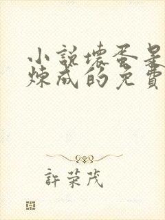 小说坏蛋是怎样炼成的免费阅读