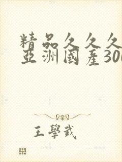 精品久久久久久亚洲国产300