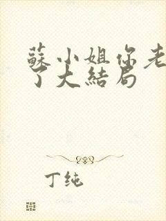 苏小姐你老公掉了大结局封面