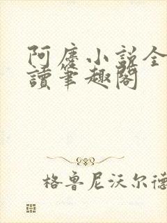 阿庆小说全文阅读笔趣阁封面