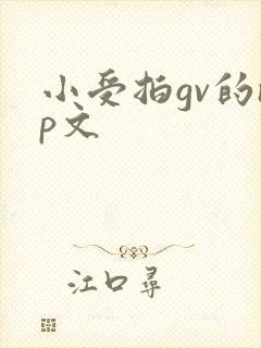 小受拍gv的np文