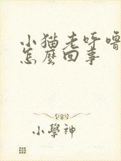 小猫老呼噜呼噜怎么回事封面
