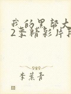 我的黑帮大佬第2季精彩片段