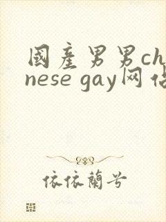 国产男男chinese gay网站