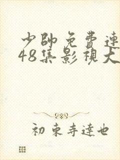 少帅免费连续剧48集影视大全