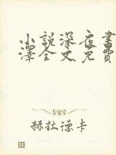 小说深夜书屋周泽全文免费阅读