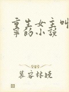 重生女主叫盛安宁的小说